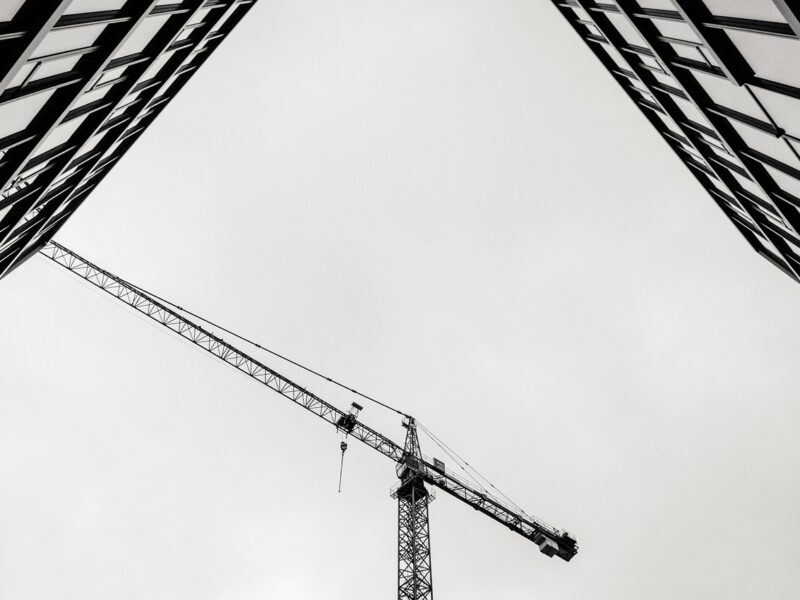 crane-7124139_1280